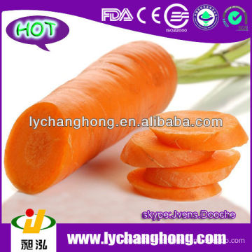 Prix ​​de gros de carottes de Chine 10kg / ctn